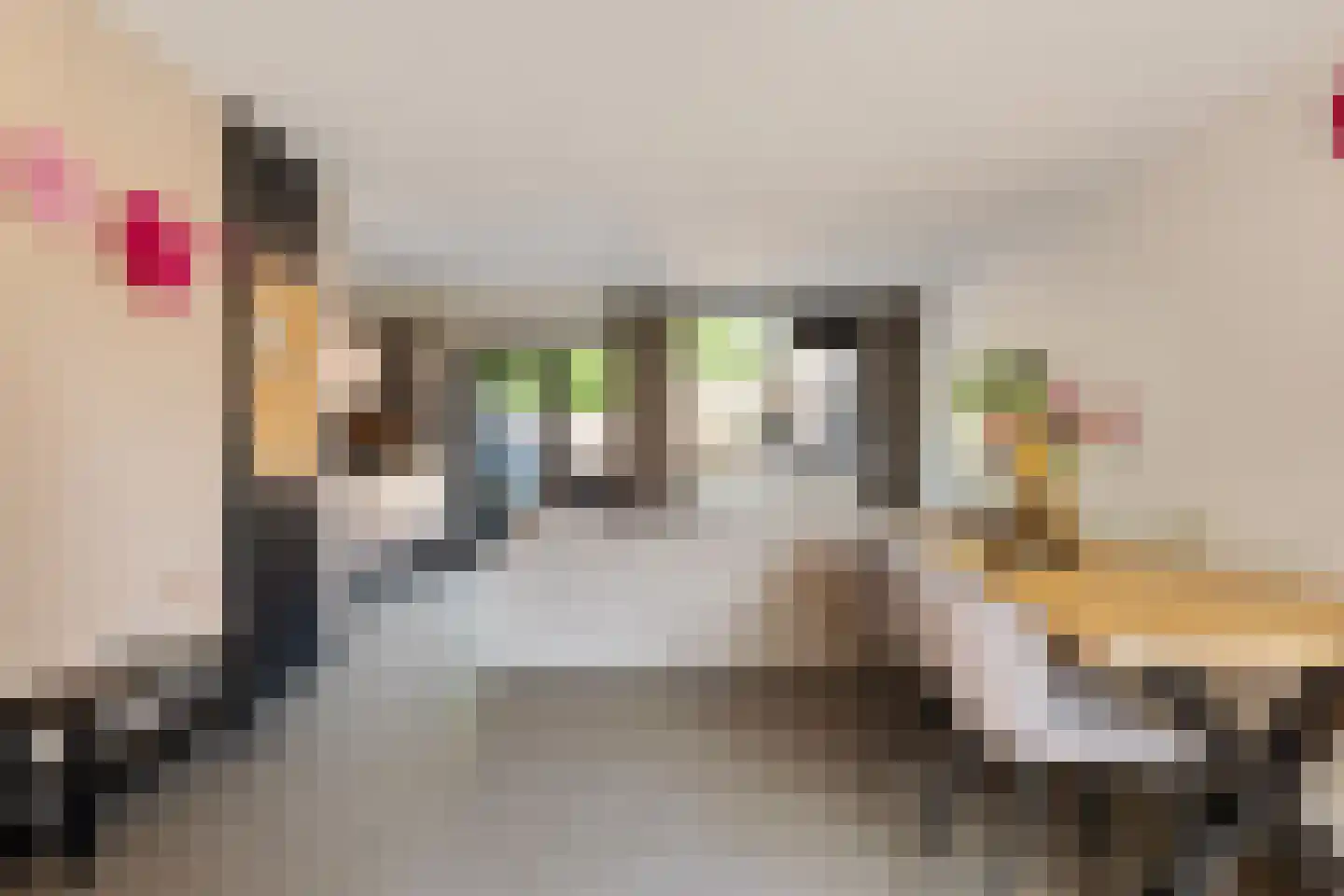 Weverij 21 Alkmaar thumbnail 8