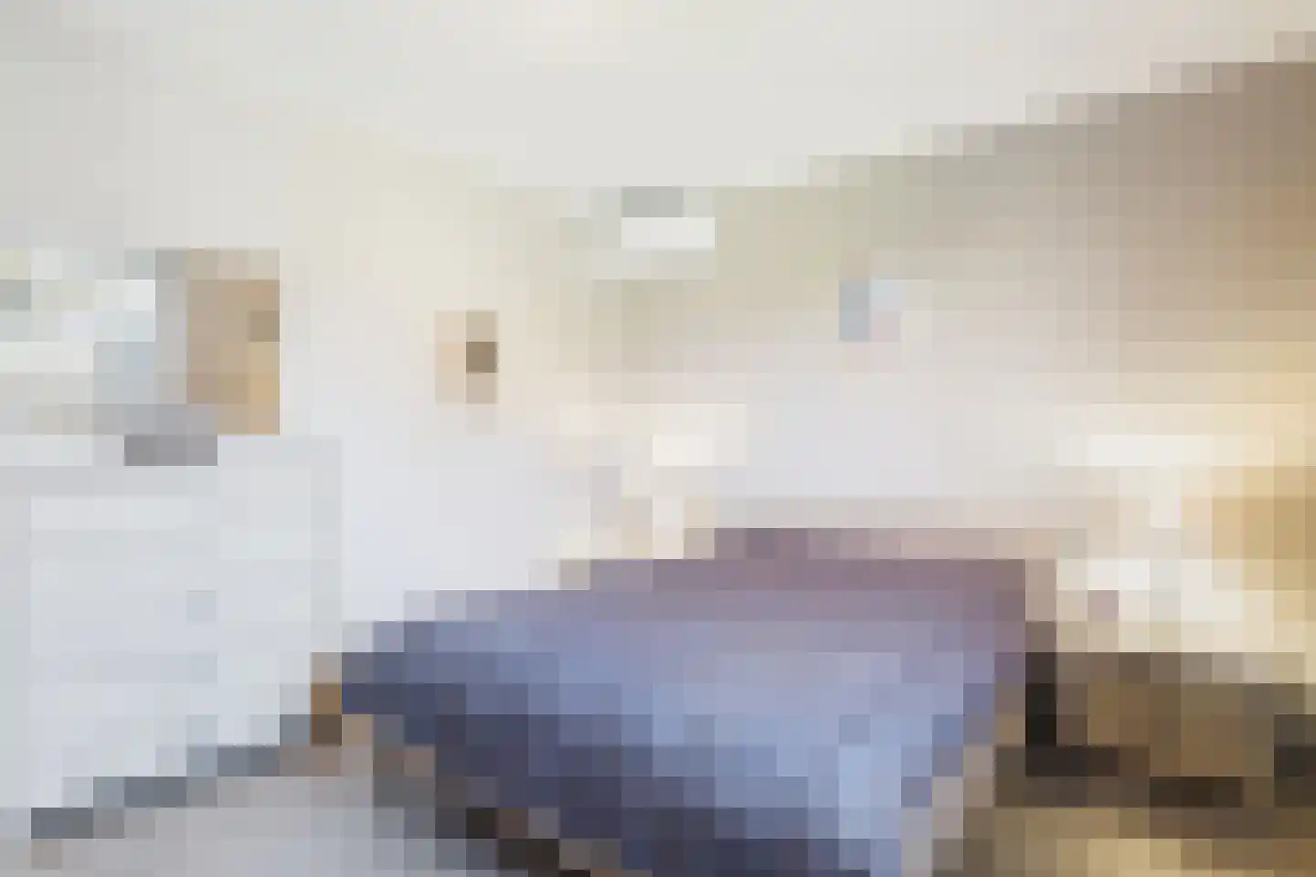 Weverij 3 Heikant thumbnail 18