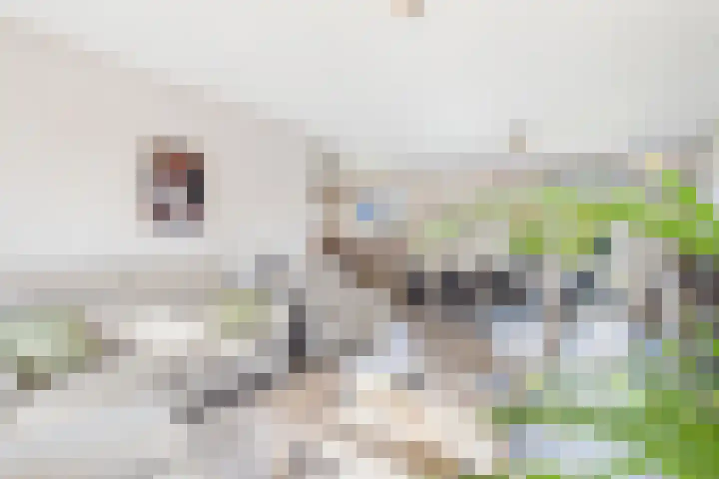 Weverij 3 Heikant thumbnail 7
