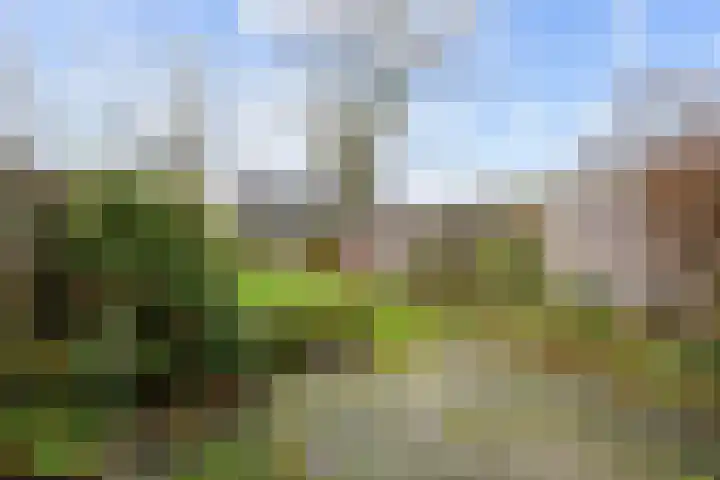Weverij 3 Winsum thumbnail 24