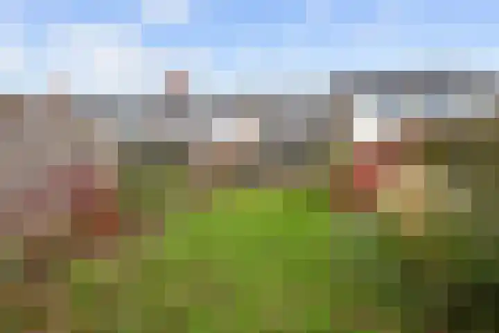 Weverij 3 Winsum thumbnail 31