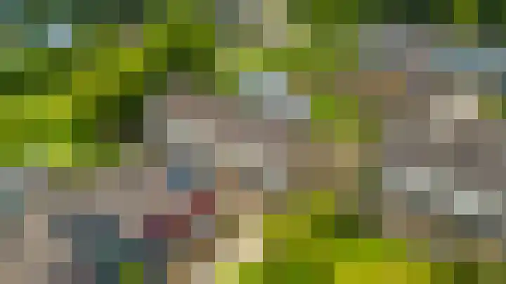Weverij 36 Gorredijk thumbnail 20