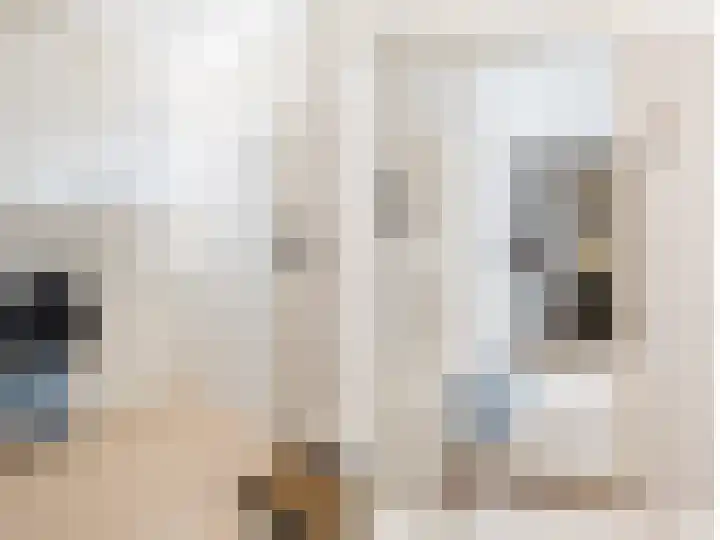 Weverij 36 Gorredijk thumbnail 38