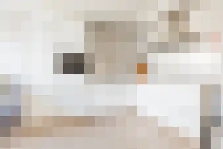 Weverij 36 Gorredijk thumbnail 4