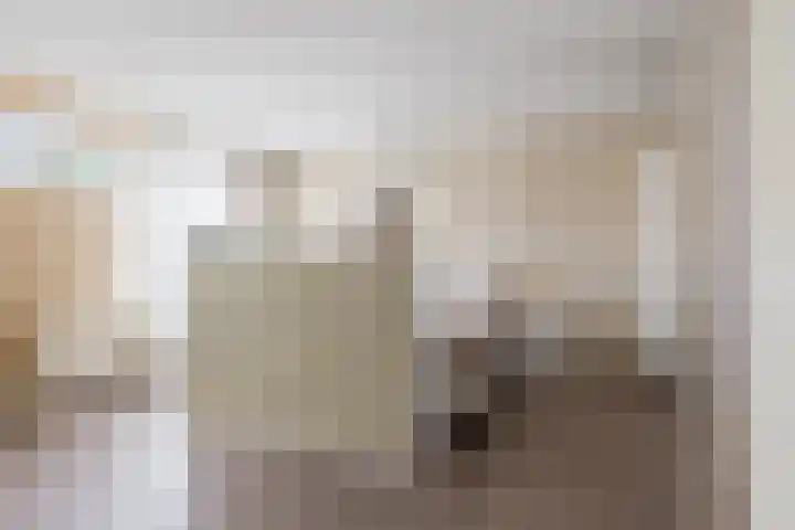 Weverij 36 Gorredijk thumbnail 41