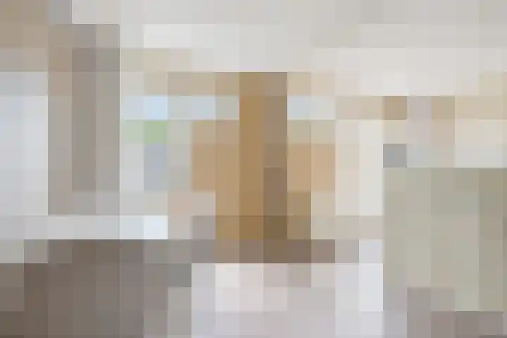 Weverij 36 Gorredijk thumbnail 42