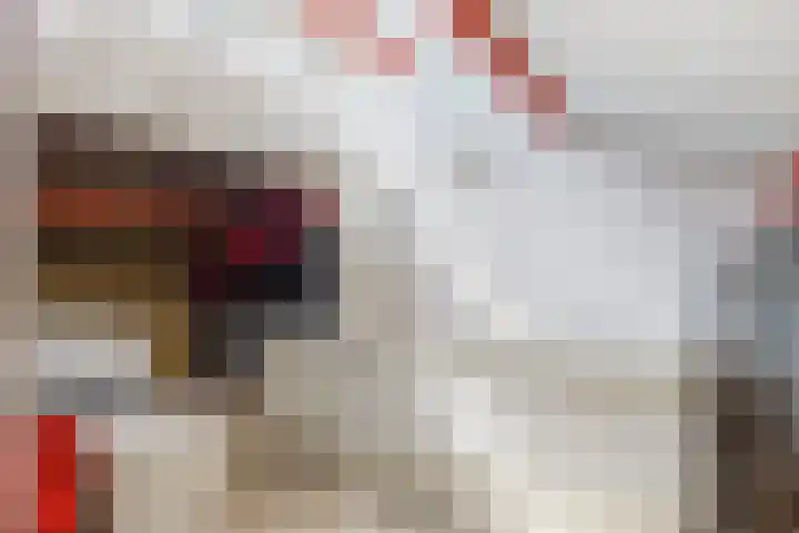 Weverij 36 Gorredijk thumbnail 52