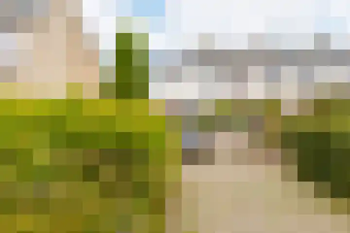 Weverij 36 Gorredijk thumbnail 8