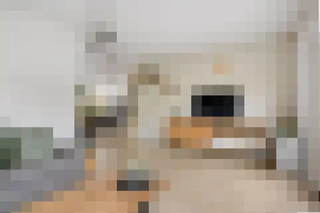 Weverij 39 Gorredijk thumbnail 10