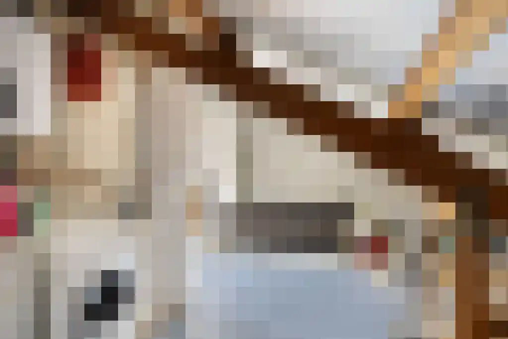 Weverij 39 Gorredijk thumbnail 31