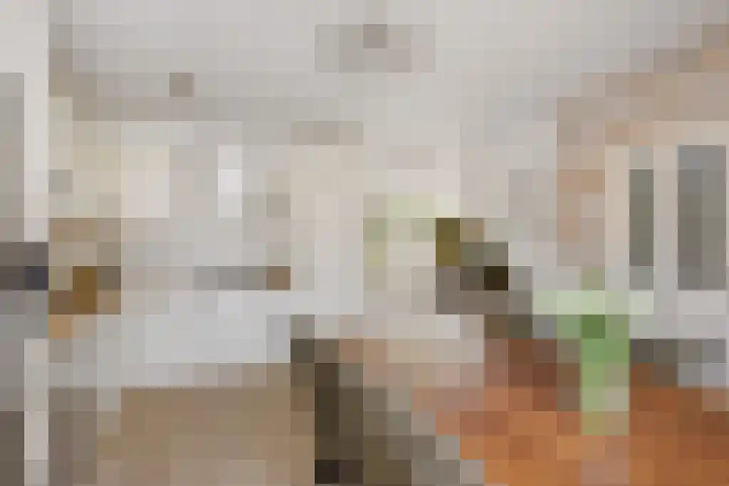 Weverij 39 Gorredijk thumbnail 6