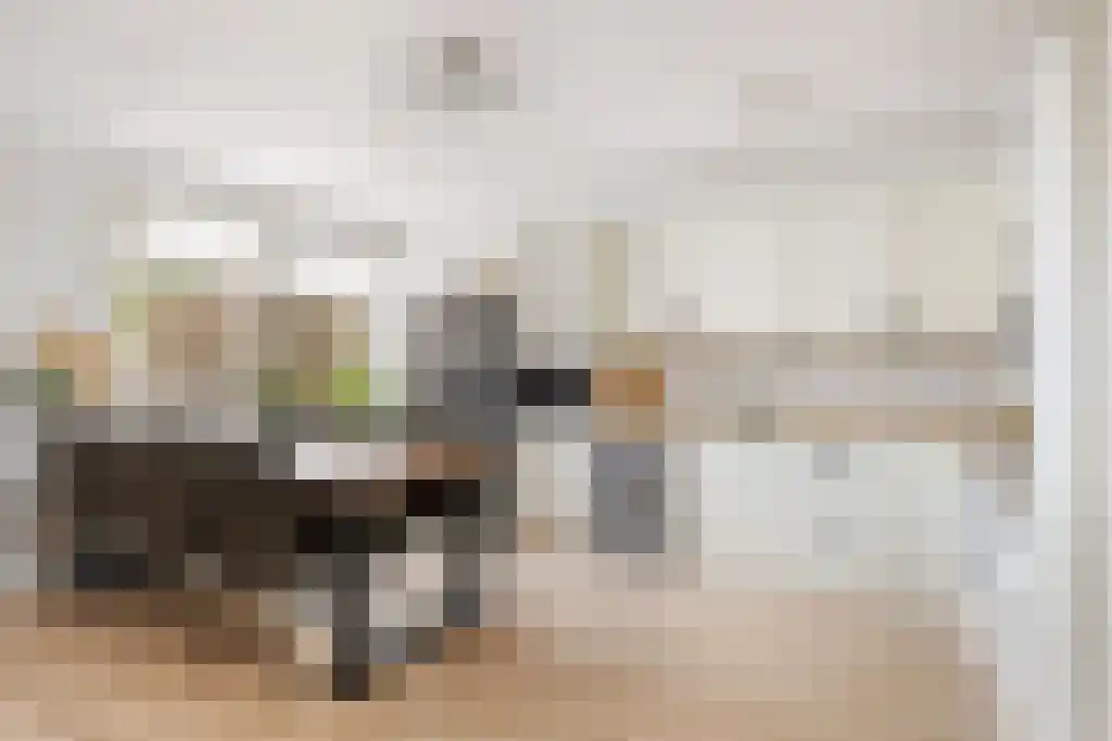 Weverij 39 Gorredijk thumbnail 7