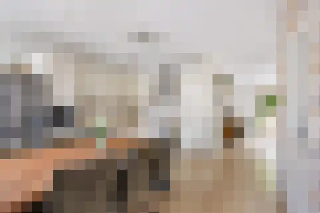 Weverij 39 Gorredijk thumbnail 8
