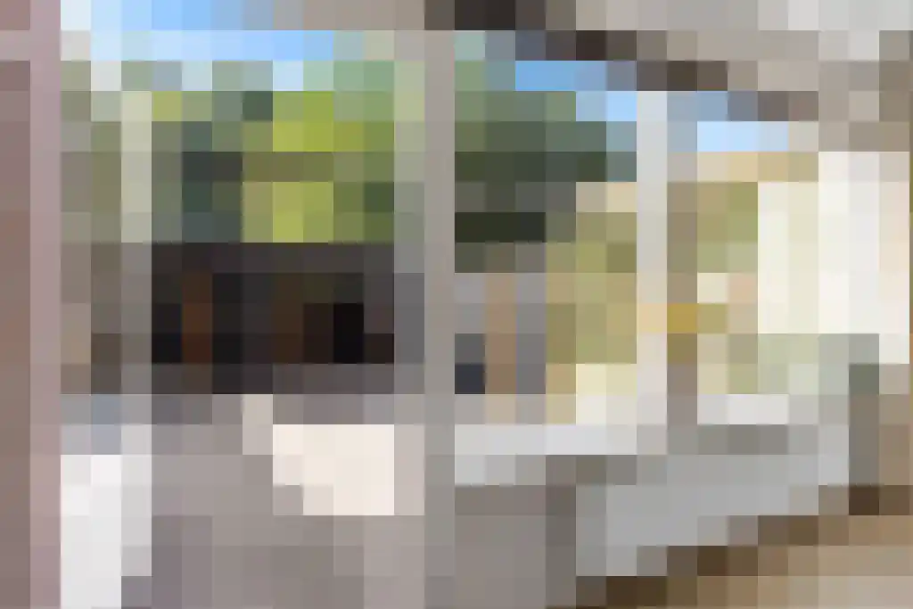 Weverij 44 Gorredijk thumbnail 13