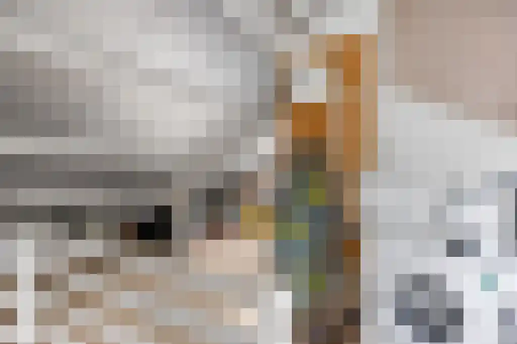 Weverij 44 Gorredijk thumbnail 22