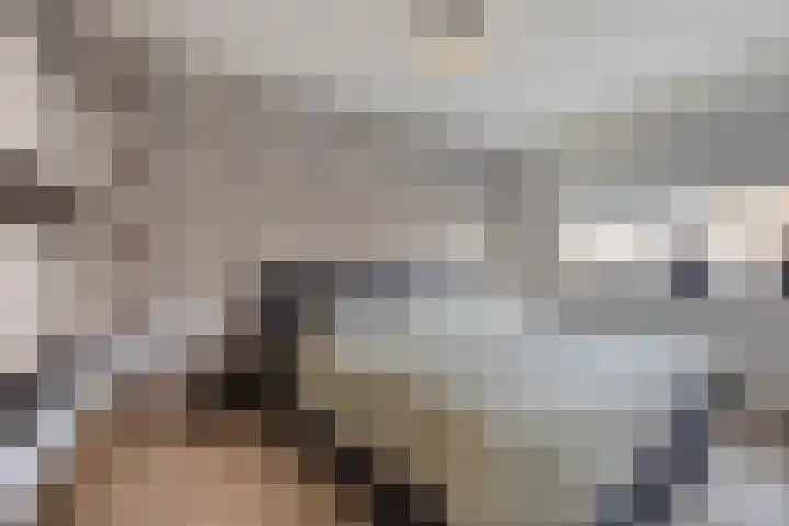 Weverijstraat 15 Dinteloord thumbnail 14