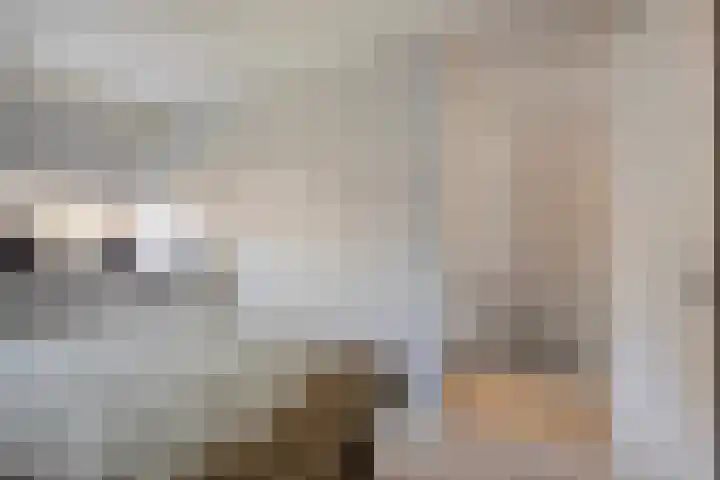 Weverijstraat 15 Dinteloord thumbnail 15