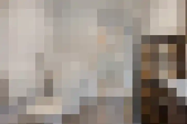 Weverijstraat 15 Dinteloord thumbnail 17