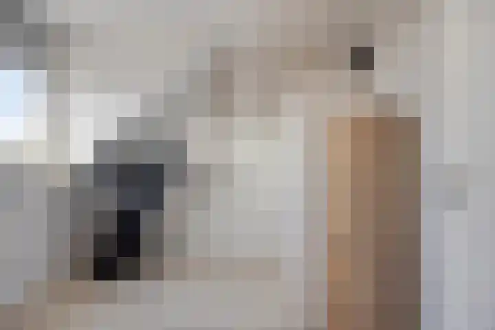 Weverijstraat 15 Dinteloord thumbnail 19