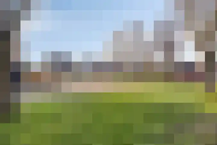 Weverijstraat 15 Dinteloord thumbnail 26
