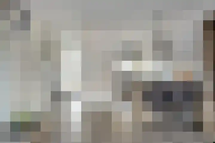 Weverijstraat 15 Dinteloord thumbnail 8