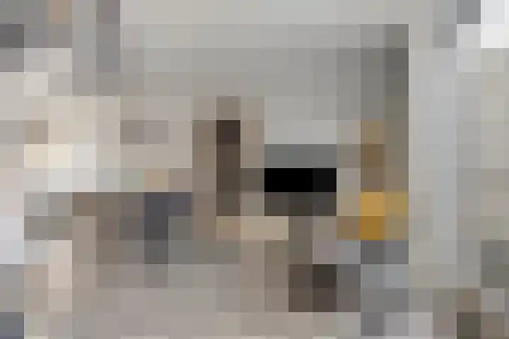Weverijstraat 15 Dinteloord thumbnail 9