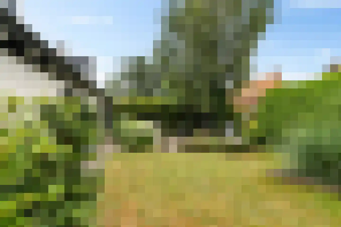 Weverijweg 5 Garsthuizen thumbnail 44