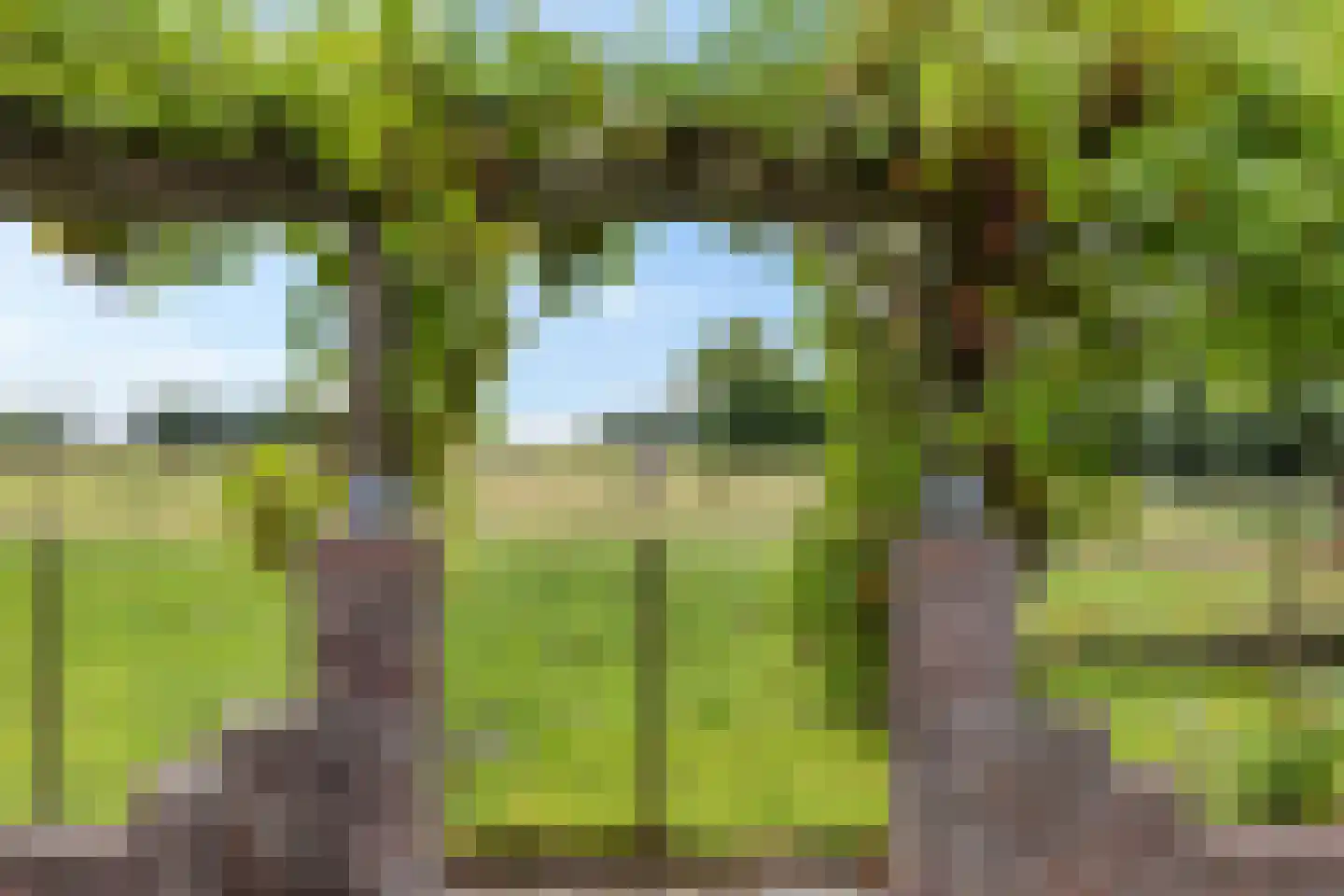 Weverijweg 5 Garsthuizen thumbnail 5