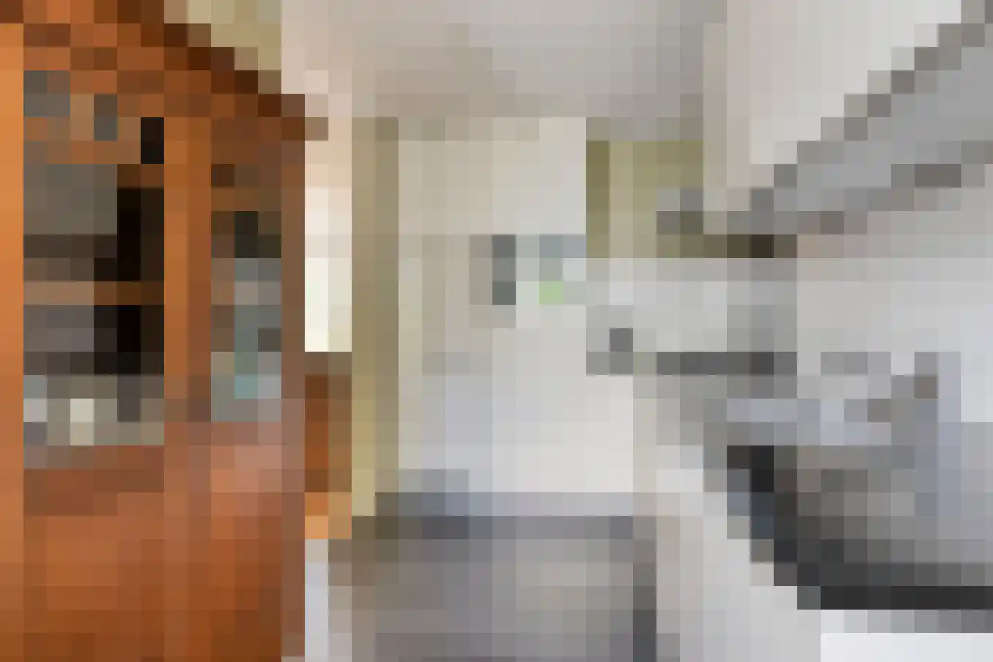 Weverkamp 8 Elst thumbnail 18