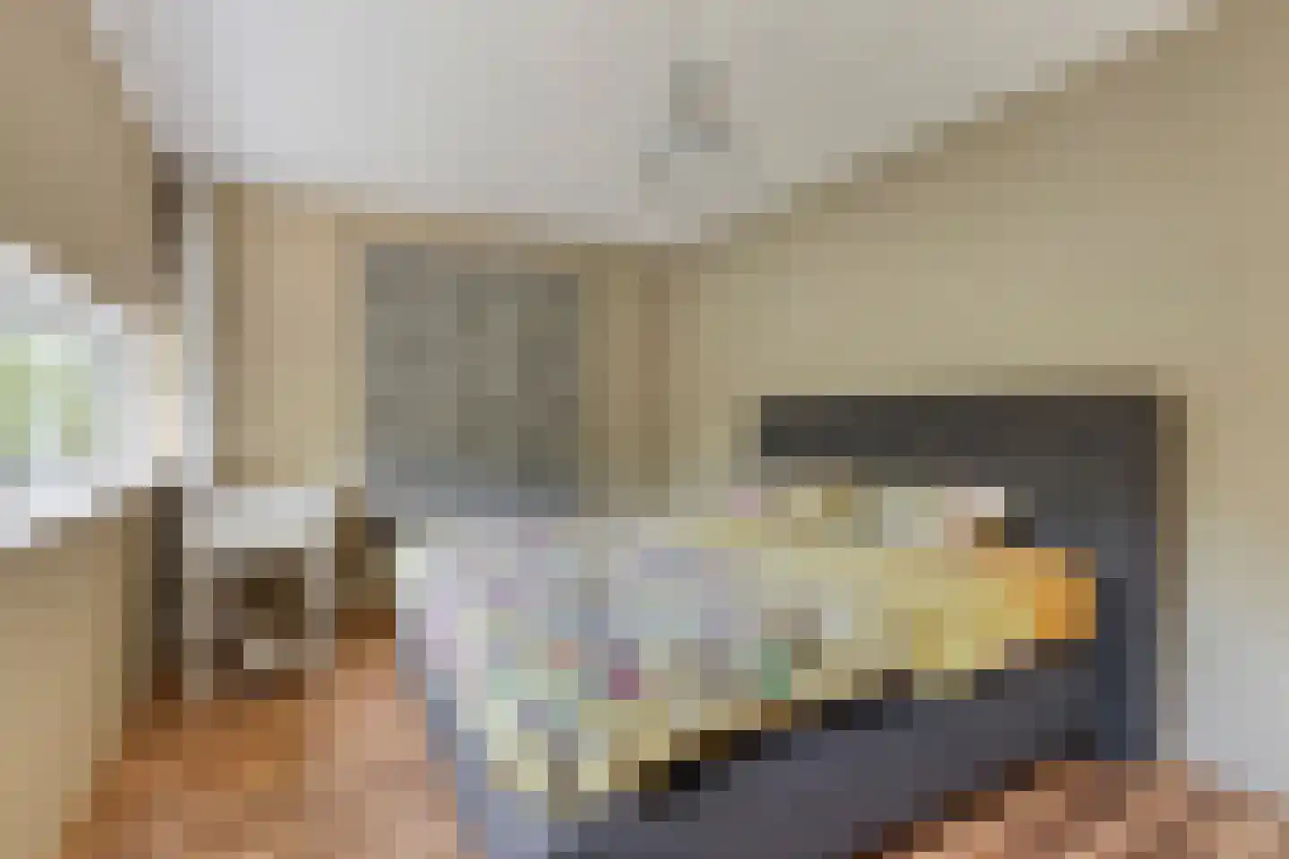 Weverkamp 8 Elst thumbnail 24