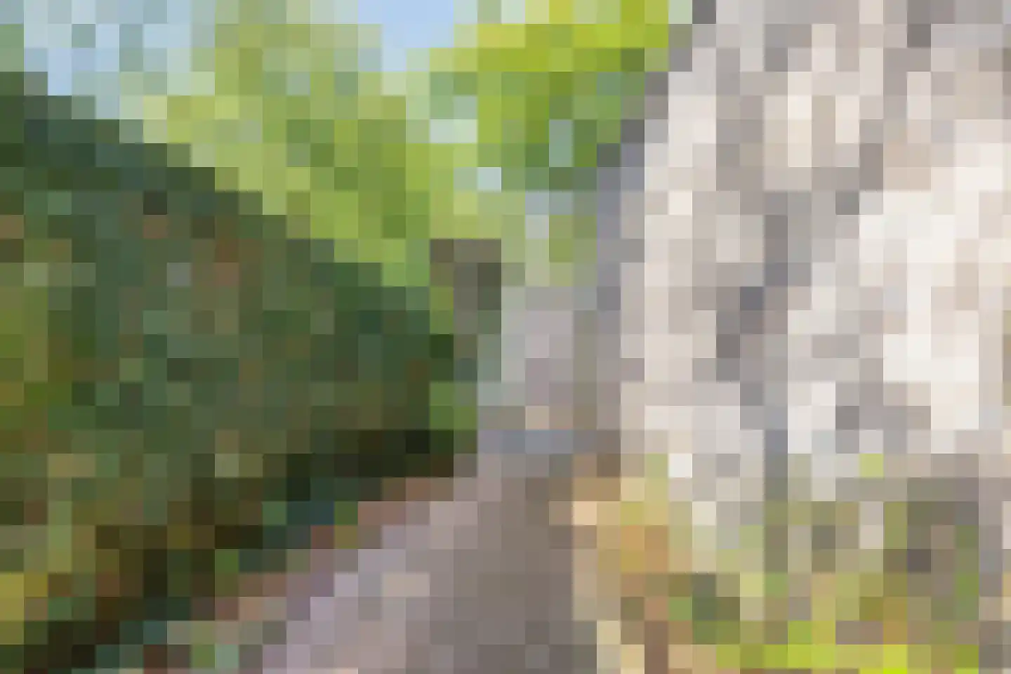 Weverkamp 8 Elst thumbnail 36