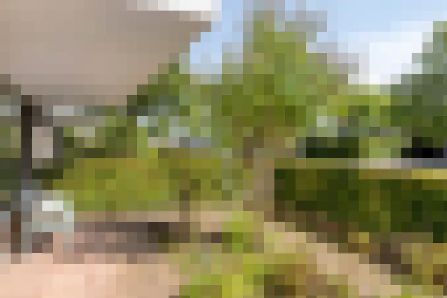 Weverkamp 8 Elst thumbnail 38