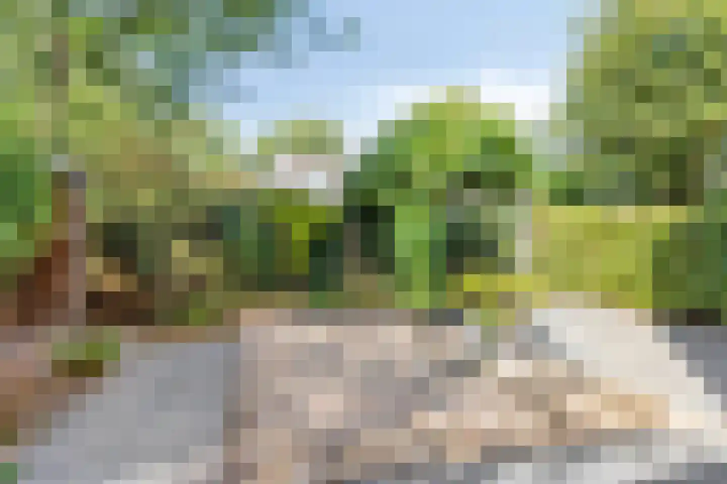 Weverkamp 8 Elst thumbnail 4