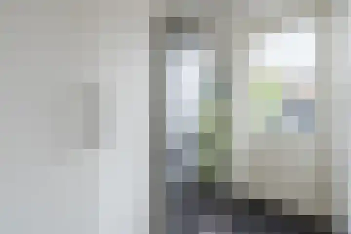 Wevermarke 26 Dalfsen thumbnail 17
