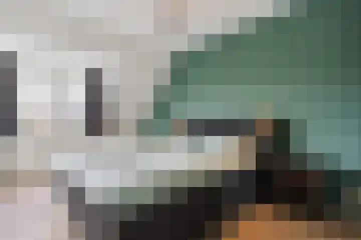 Wevermarke 26 Dalfsen thumbnail 21