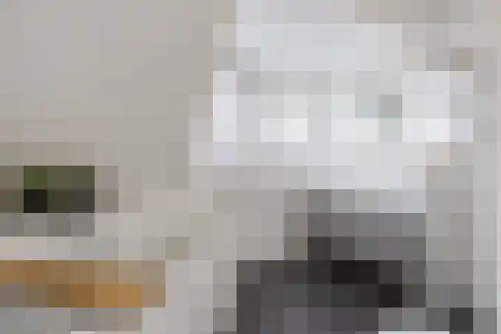 Wevermarke 26 Dalfsen thumbnail 24