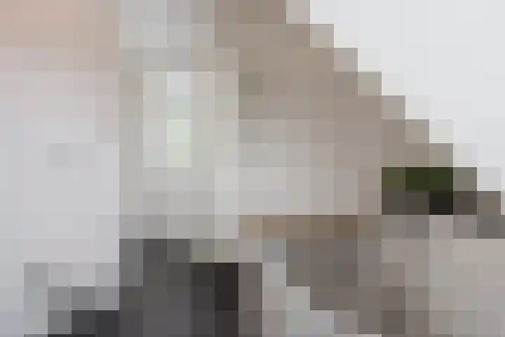 Wevermarke 26 Dalfsen thumbnail 27