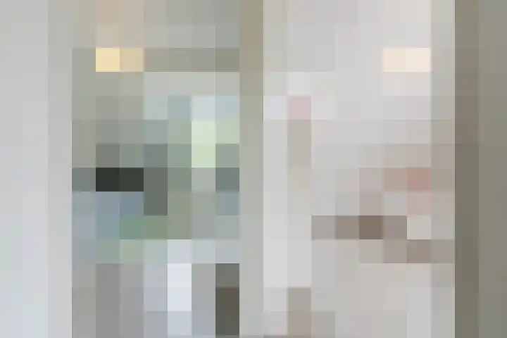 Wevermarke 26 Dalfsen thumbnail 28