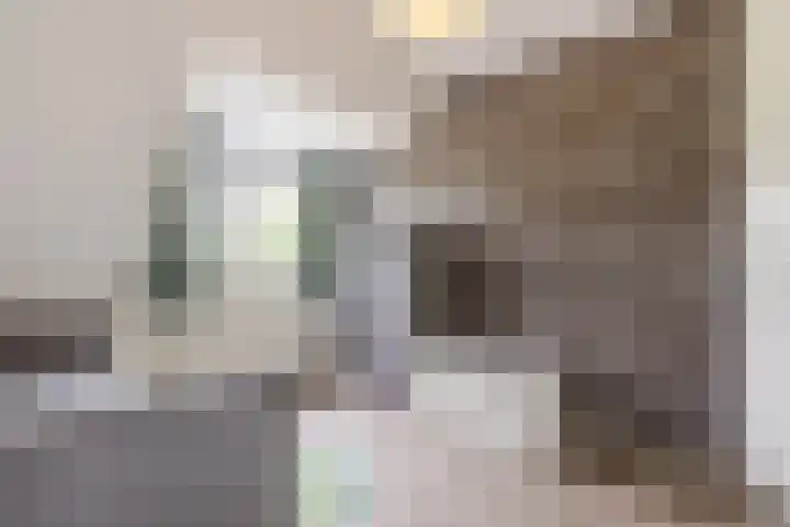 Wevermarke 26 Dalfsen thumbnail 30