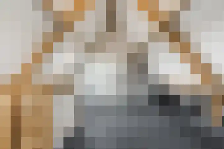 Wevermarke 26 Dalfsen thumbnail 35