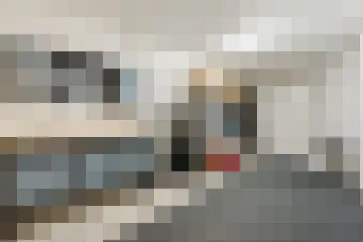 Wevermarke 26 Dalfsen thumbnail 37