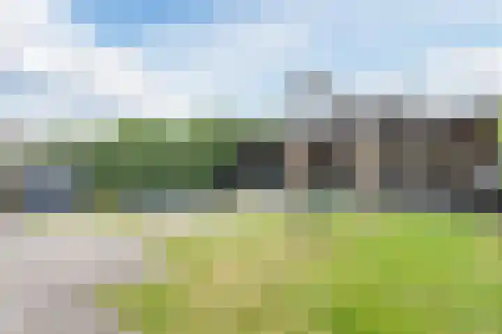 Wevermarke 26 Dalfsen thumbnail 40