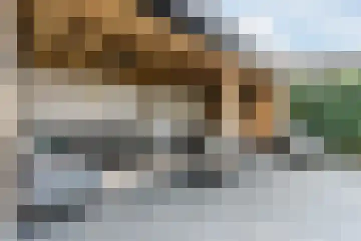 Wevermarke 26 Dalfsen thumbnail 42