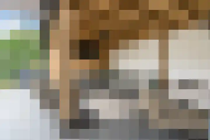 Wevermarke 26 Dalfsen thumbnail 43