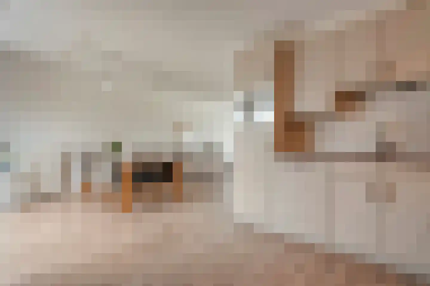 Wevermarke 30 Dalfsen thumbnail 13