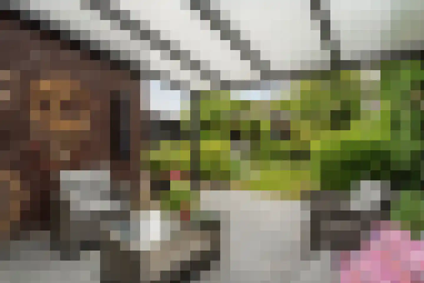 Wevermarke 30 Dalfsen thumbnail 33