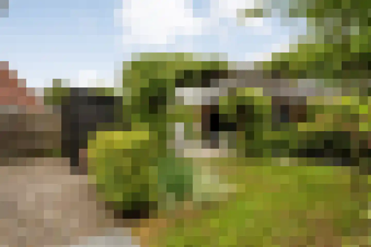 Wevermarke 30 Dalfsen thumbnail 35