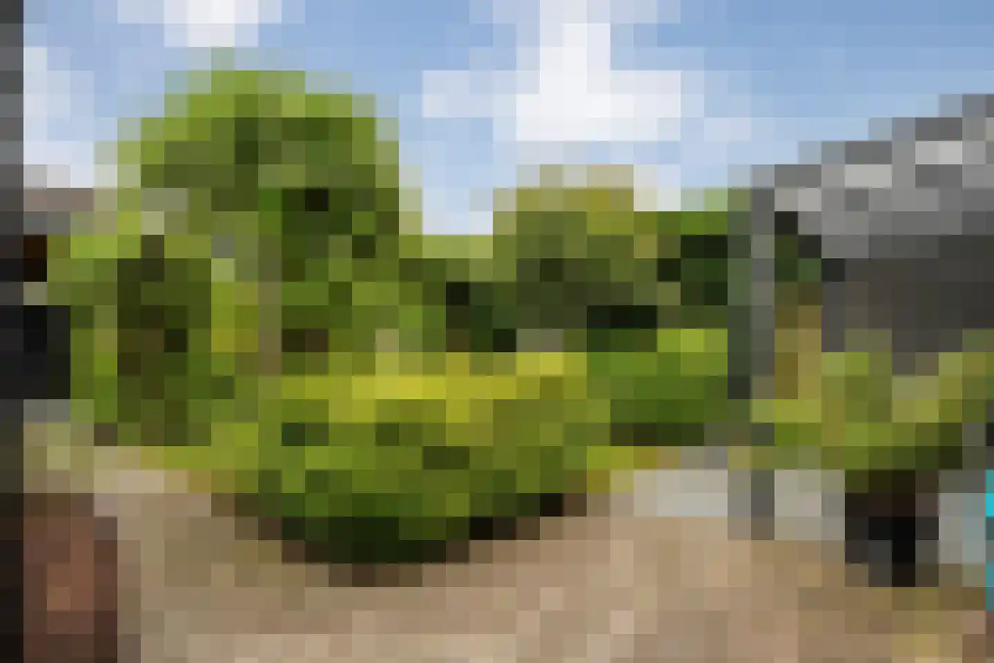Wevermarke 30 Dalfsen thumbnail 36