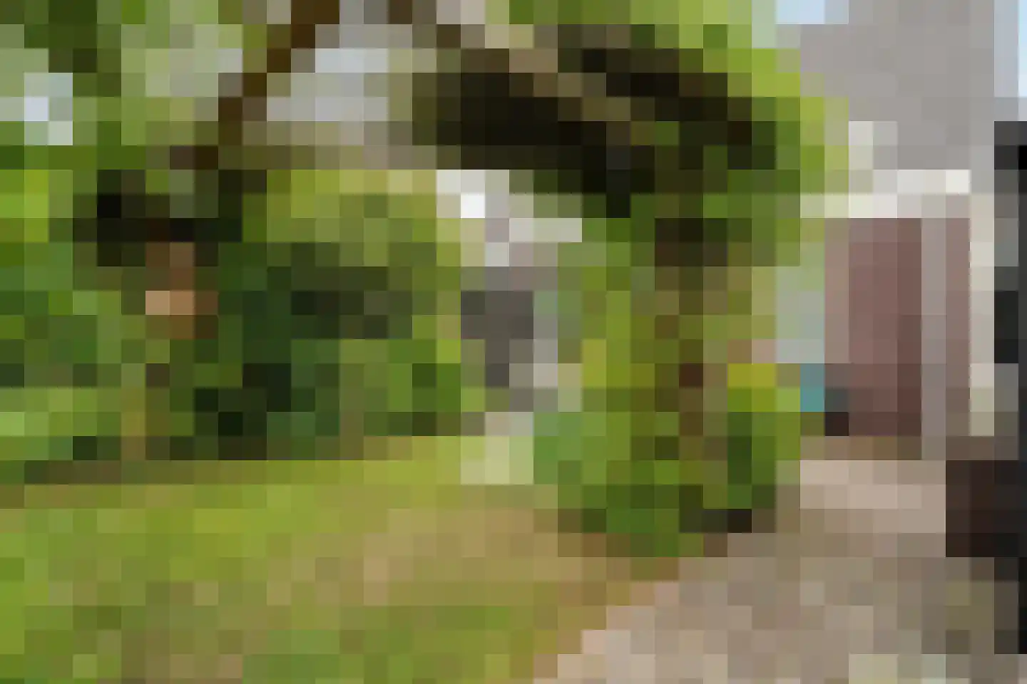 Wevermarke 30 Dalfsen thumbnail 37