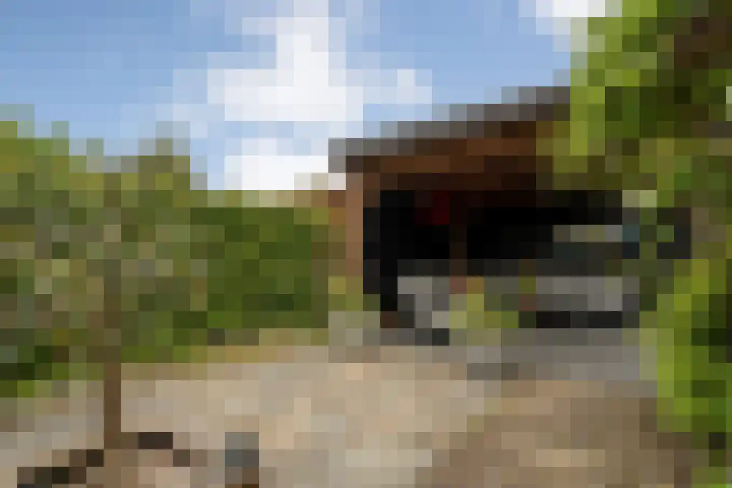 Wevermarke 30 Dalfsen thumbnail 38